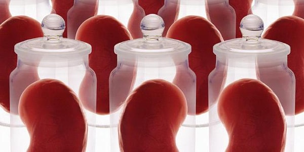 4. Органы, купленные на черном рынке, используются не только для трансплантации