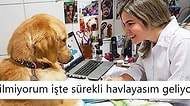 Ne Yapıyorsanız Bırakıp Okumanız Gereken Haftanın En Komik 20 Tweet'i