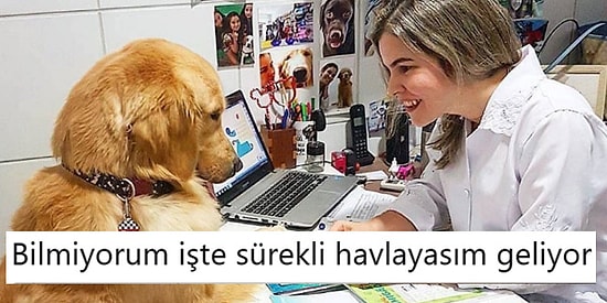 Ne Yapıyorsanız Bırakıp Okumanız Gereken Haftanın En Komik 20 Tweet'i