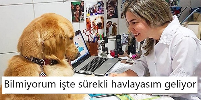 Ne Yapıyorsanız Bırakıp Okumanız Gereken Haftanın En Komik 20 Tweet'i