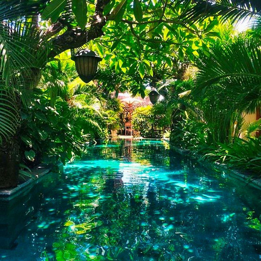 Отель тропические джунгли спб