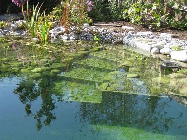 11. Bu havuzlar kabaca iki bölümden oluşuyor, biri yüzmeniz için, diğeri ise havuzun temizliği için bitkilerin ve organizmaların yaşadığı bölüm.