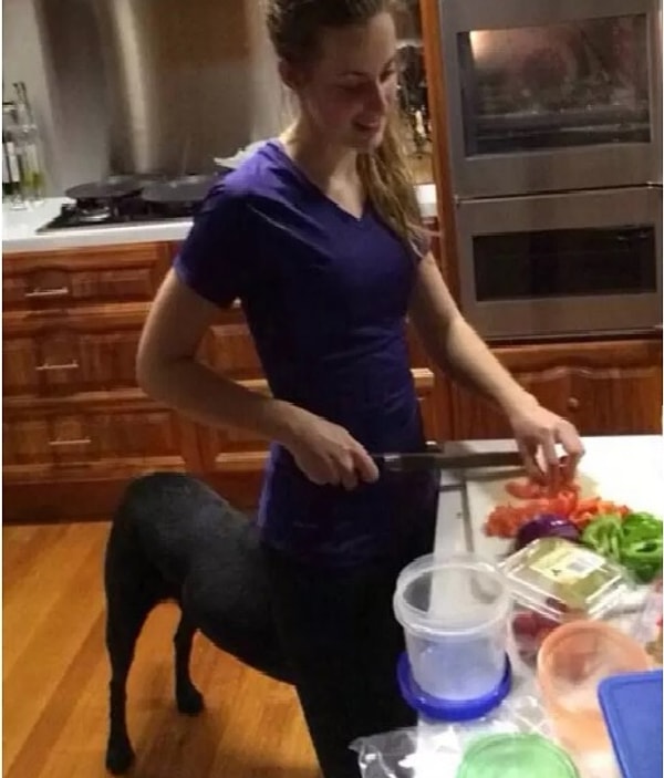 4. Собако-кентавр готовит еду на кухне?