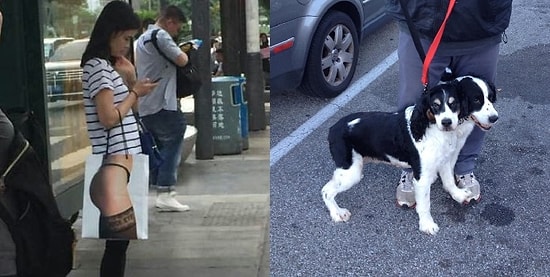 Не верь своим глазам, или 20 юморных фоток с оптическим обманом