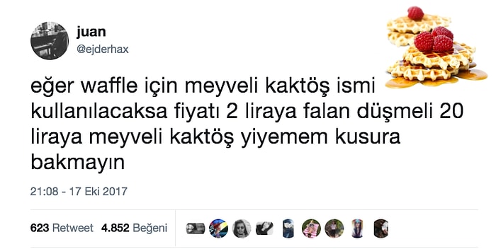 Severek Yediğimiz Waffle'a Meyveli Kaktöş İsmini Koyan TDK'nın Parodi Hesabına Tepkisini Haykıran 15 Kişi
