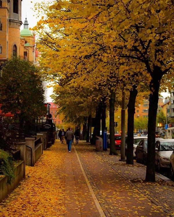 3. Kim istemez ki şehir merkezinin sonbaharda bu renklere bürünmesini ?