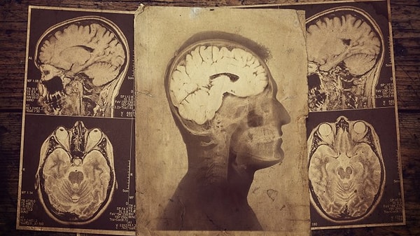 10. Люди верили, что мы - продукт генетики