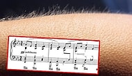Müzik Dinlerken Tüyleriniz Ürperiyorsa Bunun Sebebi Sıradışı Bir Beyne Sahip Olmanız Olabilir!