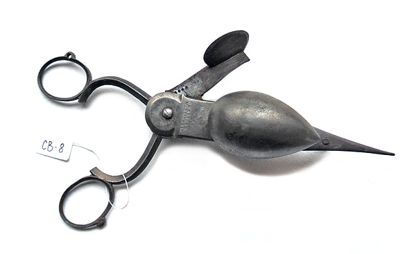 6. Для чего они могли бы служить?