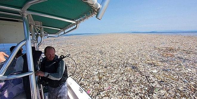 Çevreyi Nasıl Kirlettiğimizi Yüzümüze Tokat Gibi Çarpan ‘Çöp Denizinden’ Korkunç Manzaralar!