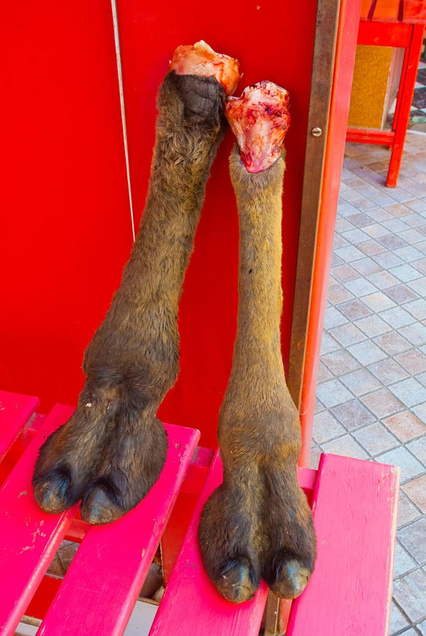 12. Римский император Гелиогабал кормил своих гостей пятками верблюда