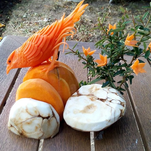 6. ...или птиц.