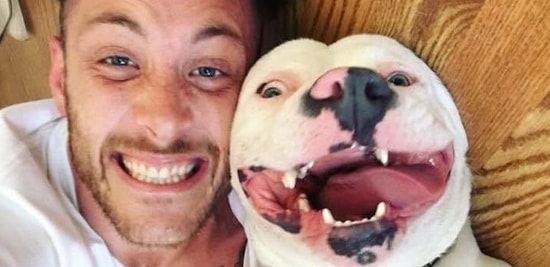 Это парень опубликовал фото с псом в Facebook, и кто-то тут же позвонил в полицию