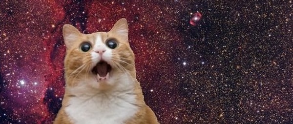 3. Какой вид из окна предпочтете?