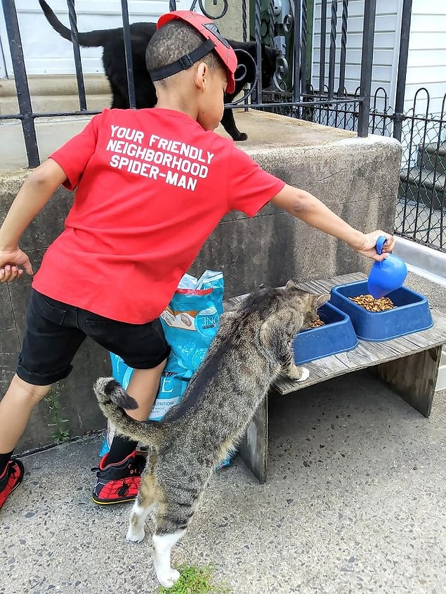 Ancak Bug isimli bir kedi, söz konusu kısırlaştırılmak olduğunda Kris ve nişanlısıyla işbirliği yapmaya yanaşmıyormuş.