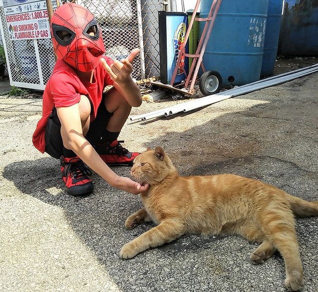 Sonra Kris, yeğeni Shon'un Bug ile çok kolay bağ kurabildiğini fark edince yeğenine kedi ile ilgilenmesi için izin vermiş.