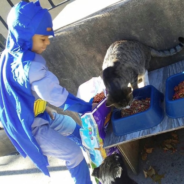 Kris ve nişanlısının bile kendilerine dokunmasına izin vermeyen bazı kediler, Kedi Adam'la çok kolay bağ kurabiliyor.