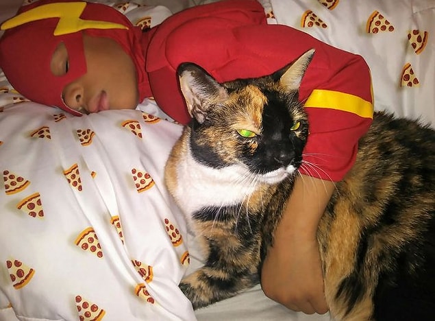 Dünyayı Kedi Adam gibi küçük kahramanlar kurtaracak. 😻