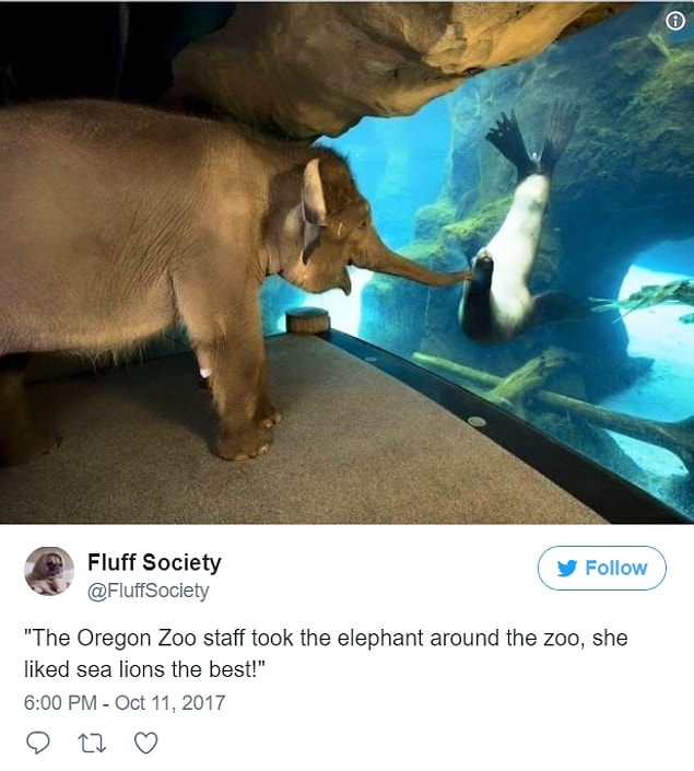 7.