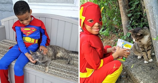 Этот 5-летний мальчик настоящий супергерой, спасающий бездомных кошек