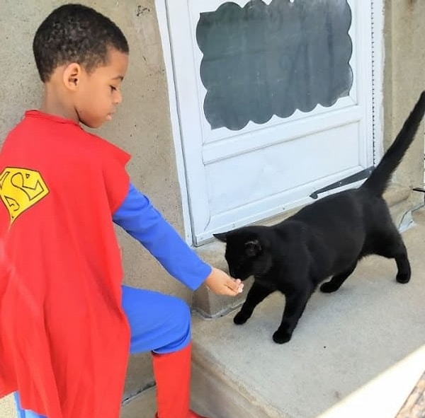 2. «Он проводит у нас много времени с самого своего рождения. Если бы он жил у нас, то был бы окружен кошками постоянно. Он просто следует нашему примеру», — рассказывает Паперник, сотрудник центра по защите животных.