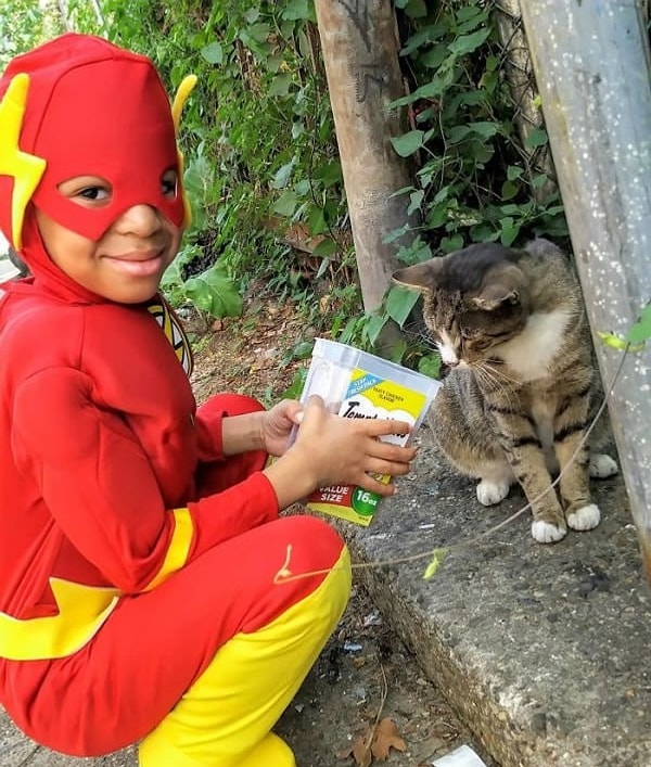 8. Шон очень любит кошек и всегда расстраивается, если по какой-либо причине не может приехать в гости к Папернику и Гриффин.