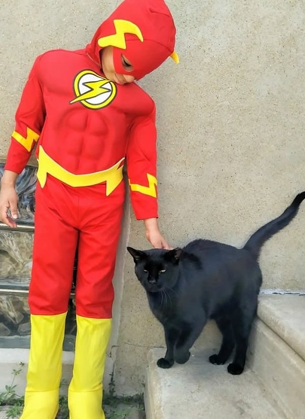 9. Зато когда ему удается проводить время с уличными котами, то счастью Шона нет предела.