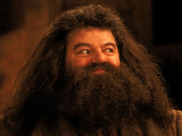 12. Какой предмет Хагрид преподавал в Хогвартсе, когда профессор Кеттлберн ушел на пенсию?