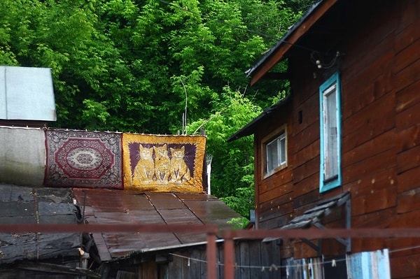 4. Думается, что в этом доме живет ландшафтный дизайнер, не иначе 🤔