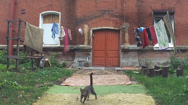 5. Богатый вход