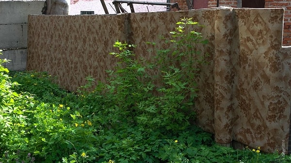 14. Уровень выше: забор из ковра! 👏