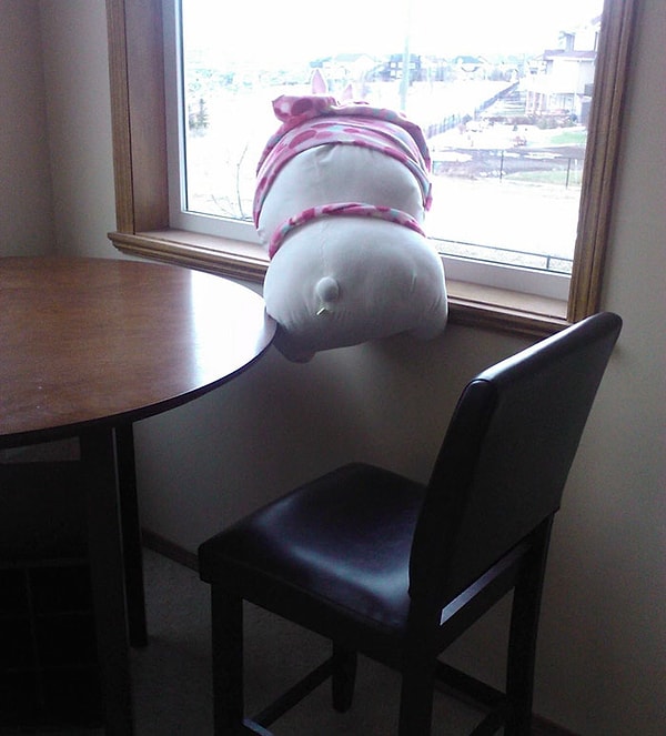 8. Что интересненького на улице?