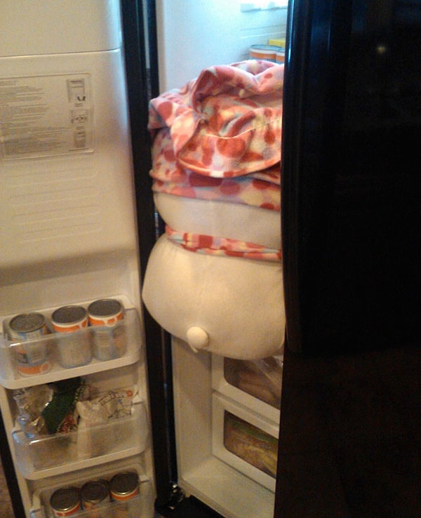 9. "Что бы съесть?.. Что бы съесть?.."