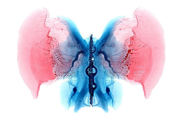 2. Что вы здесь видите?