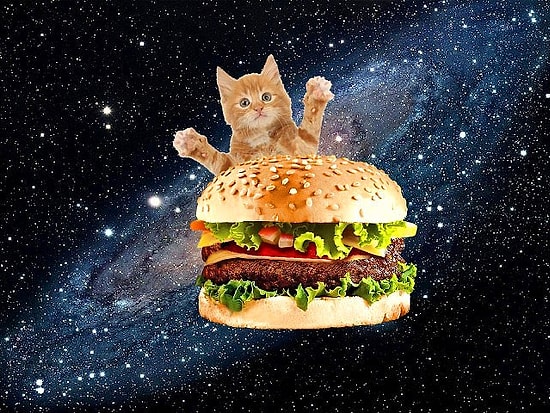 Приготовьте гамбургер, а мы поведаем, какой из вас друг!