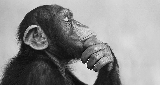 Сумеете ли вы отличить шедевр от детского рисунка?