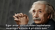 Einstein Uyarmıştı, Gerçek Oldu: Arılar ve Böcekler Yok Oluyor, Tehlike Çanları Çalıyor!