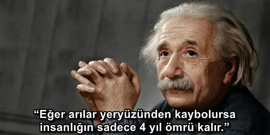Einstein Uyarmıştı, Gerçek Oldu: Arılar ve Böcekler Yok Oluyor, Tehlike Çanları Çalıyor!