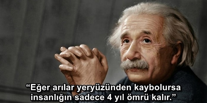 Einstein Uyarmıştı, Gerçek Oldu: Arılar ve Böcekler Yok Oluyor, Tehlike Çanları Çalıyor!