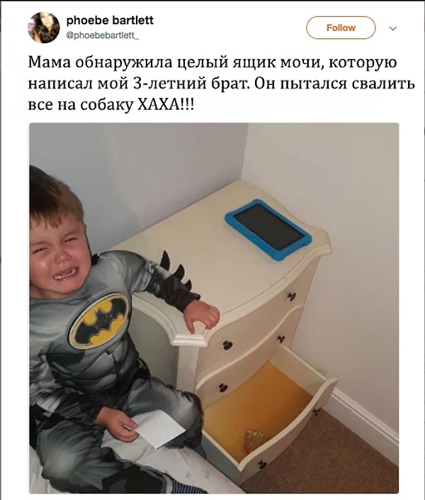 1. 21-летняя Фиби Бартлет из Борнмута, Англия, поделилась этим фото своего 3-летнего братишки Фредди в Сети.