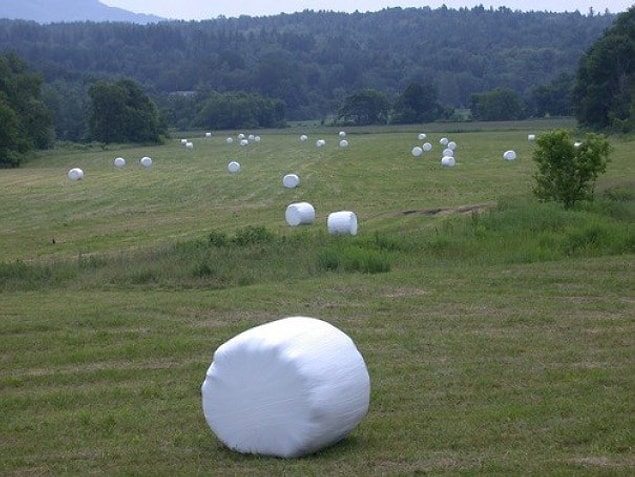 2. Yeğenim marshmallowun çiftliği olduğunu düşünüyor!