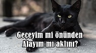 Fala İnanma Falsız da Kalma! En Yaygın 13 Batıl İnancın Kökeni
