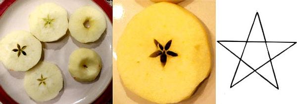 10. Bazı eski kültürler dikey olarak bir elmayı iki cehpe kestiğinizde kadın genital sistemine bir miktar benzer olduğunu, yatay olarak kesildiğinde ise büyülü bir pentegram görülebildiğini fark ettiler.