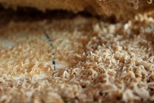 13. Касу марцу (сыр с живыми личинками)