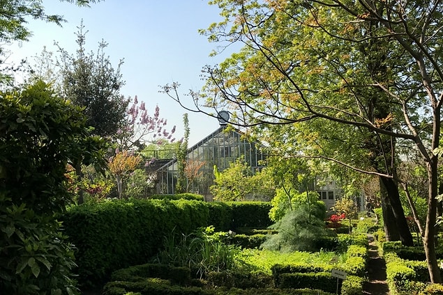 12. Alfred Heilbronn Botanik Bahçesi, İstanbul