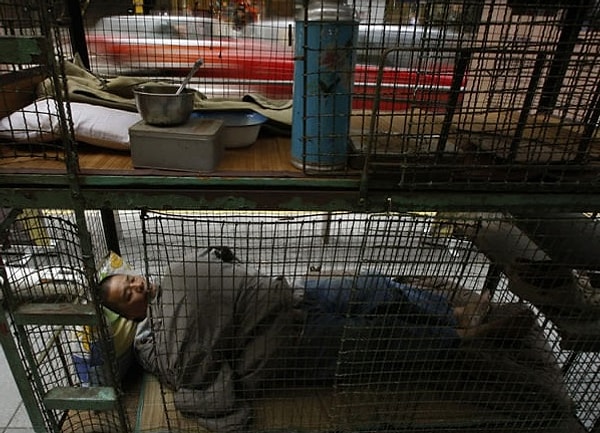 Власти Гонконга прекрасно знают о жилищных проблемах, но, похоже, не собираются их решать. Единственное, что остается людям, — протестовать против таких условий.