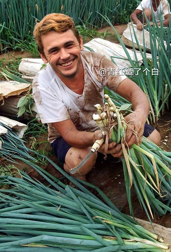 12. Отличный урожай, Джеймс Франко!