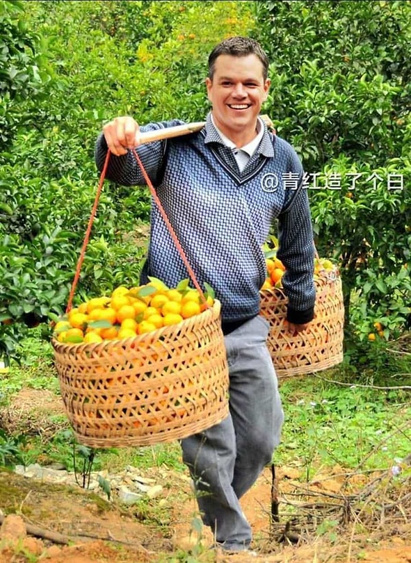 15. А Мэтт Дэймон несет домой мандарины, из которых его жена будет сейчас делать варенье!