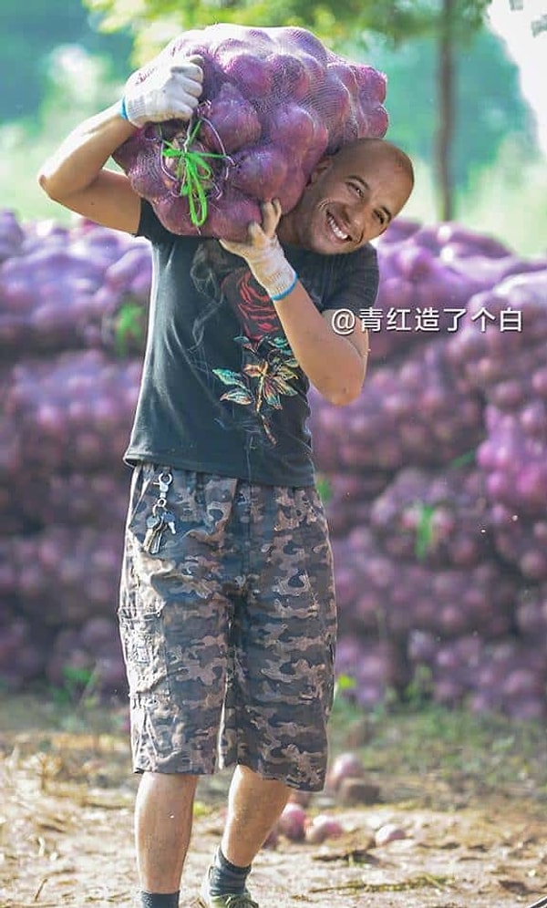 19. Терпение и труд все перетрут, так ведь, Вин Дизель?