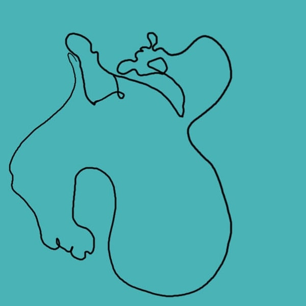 5. А это кто?